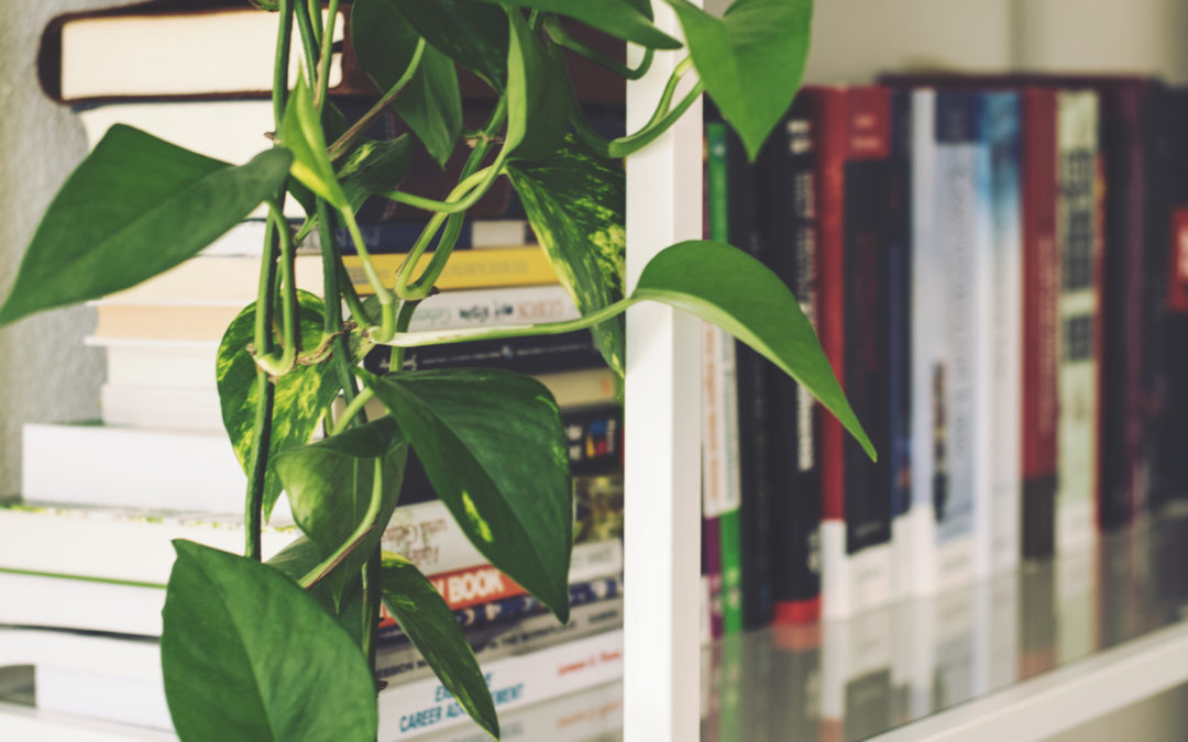 You don’t need 117 ways to generate ‘leads’