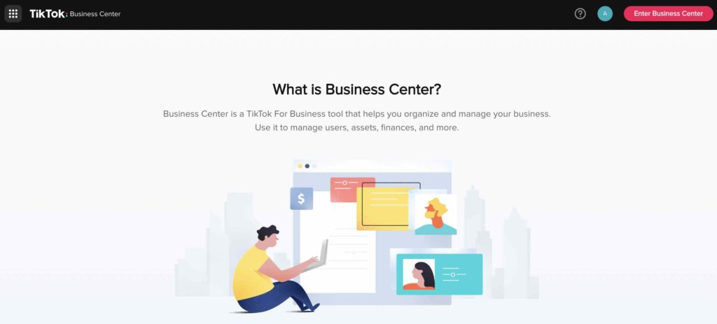 TikTok Business Manager