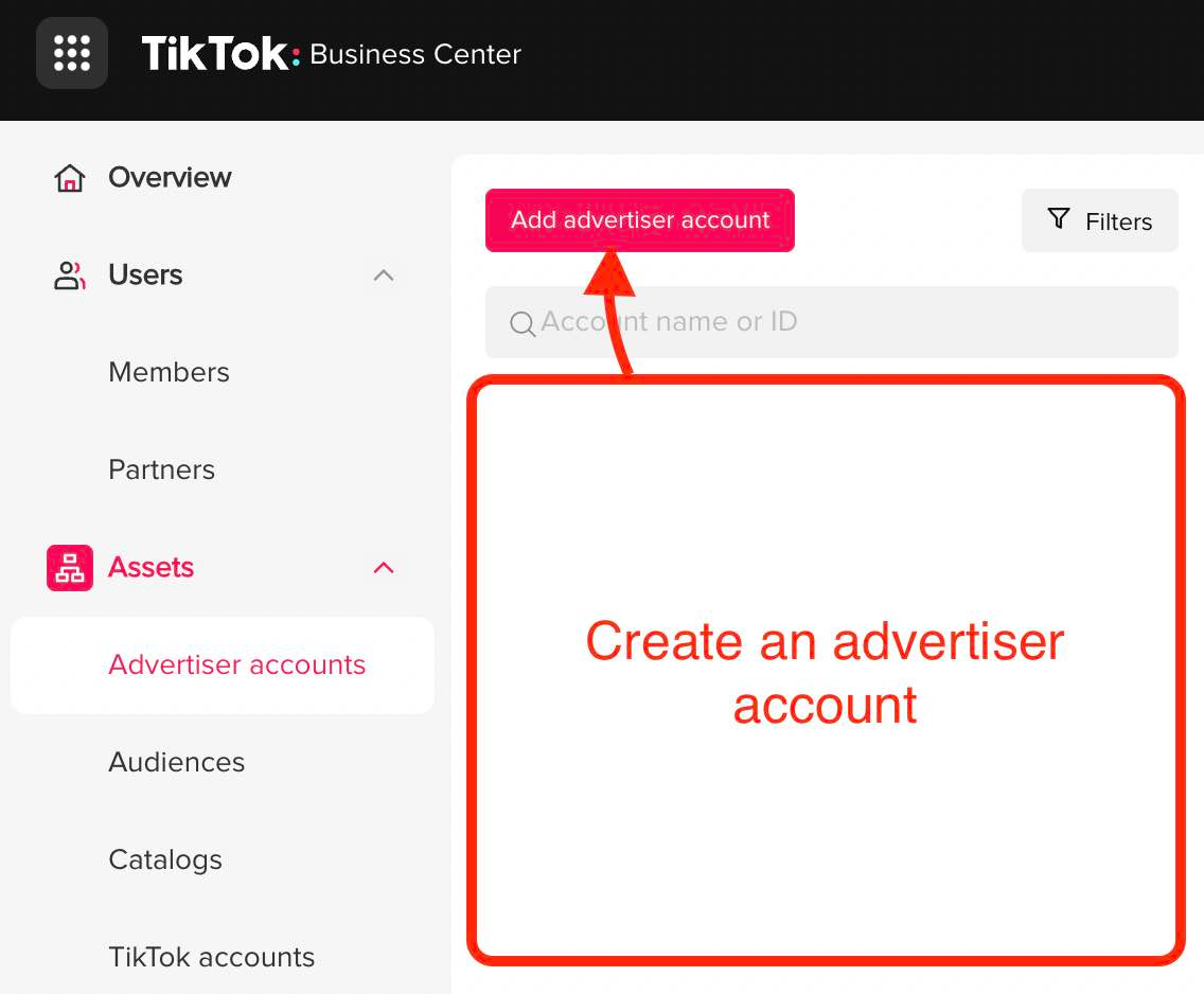TikTok Advertiser account