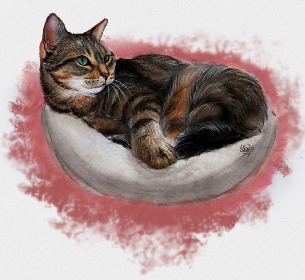 Realistic cat pet portrait