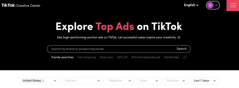 TikTok ad examples