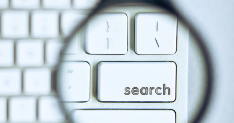 Search Bar